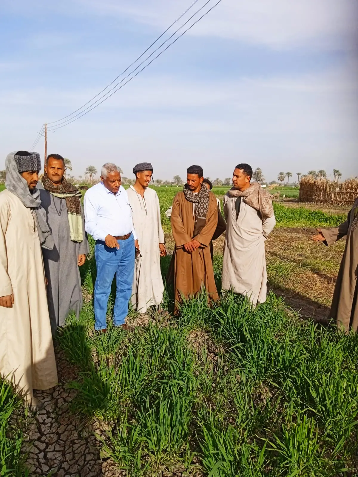 Small Farmers Support Program